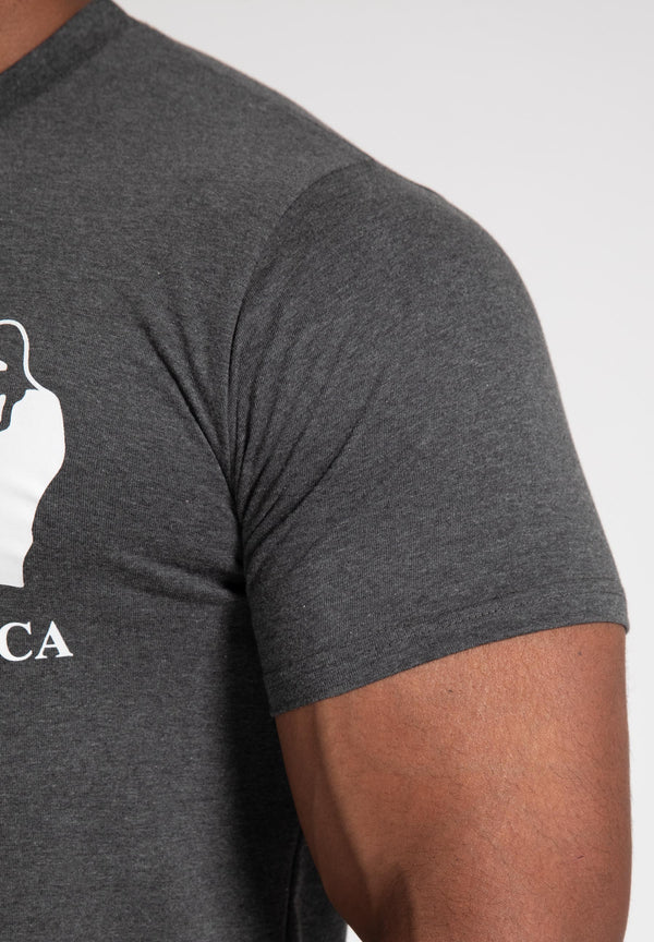 Classic T-Shirt - Dunkelgrau