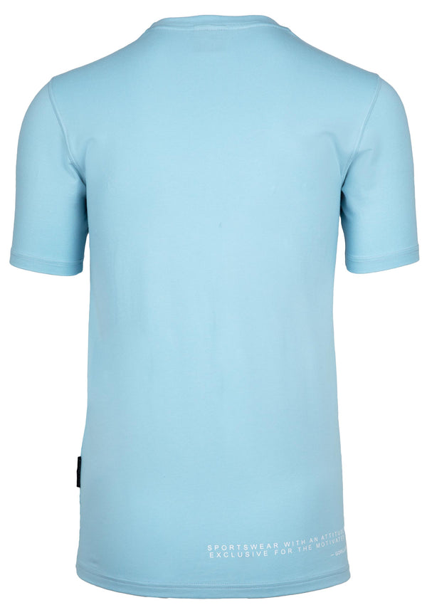 Swanton Shirt Hellblau