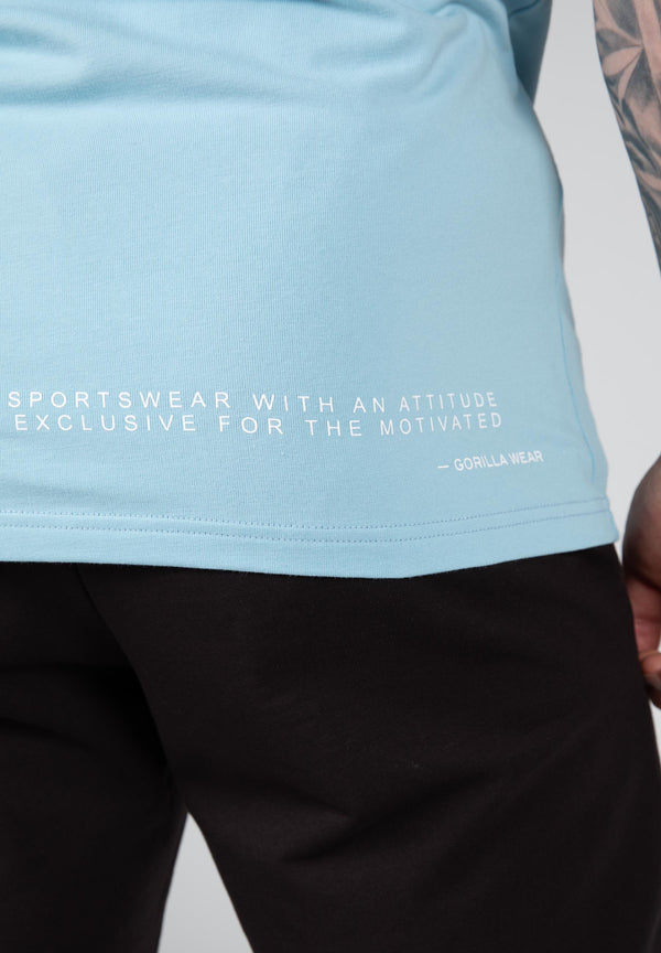 Swanton Shirt Hellblau