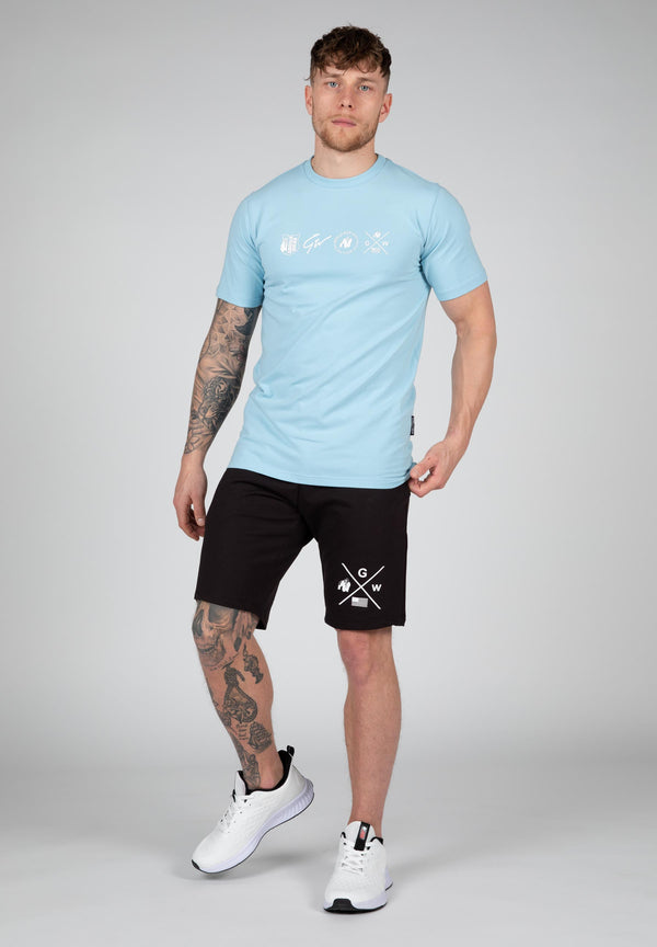 Swanton Shirt Hellblau