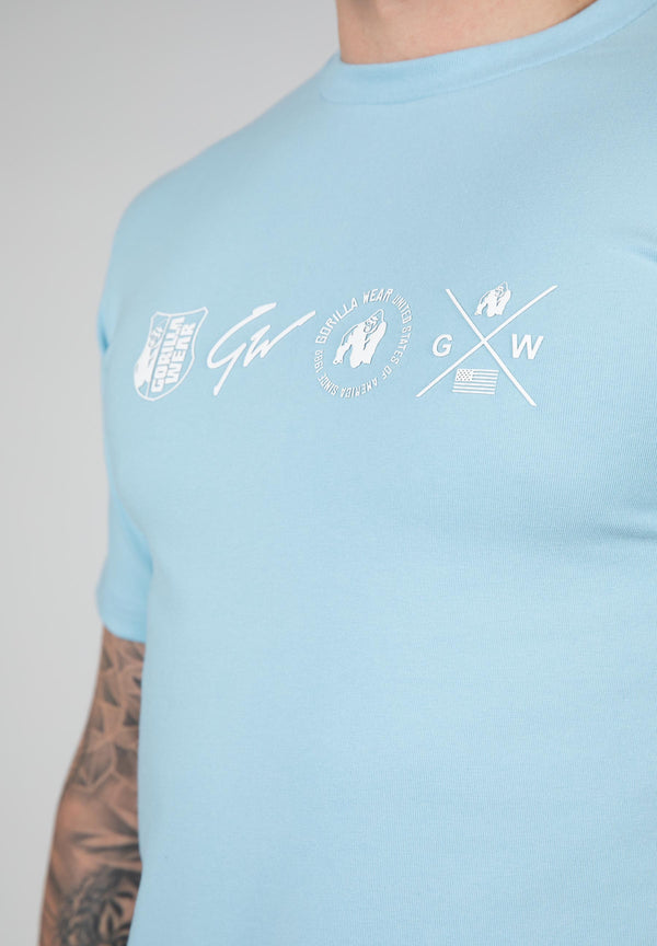 Swanton Shirt Hellblau