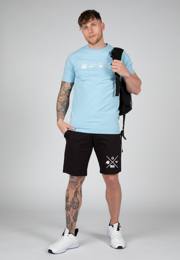 Swanton Shirt Hellblau