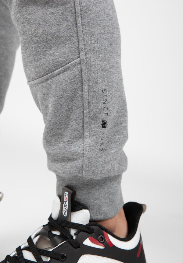 Hudson Cargo Sweatpants grau